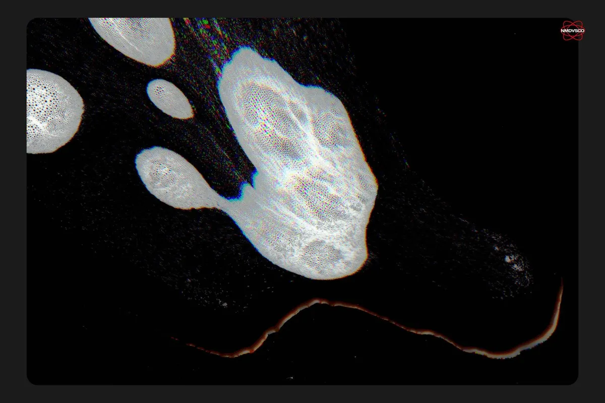 Foamy Scanner Textures