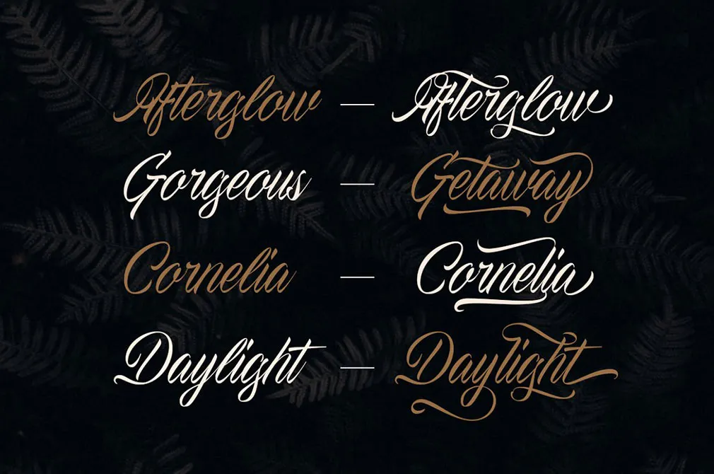The Proactive Script Font