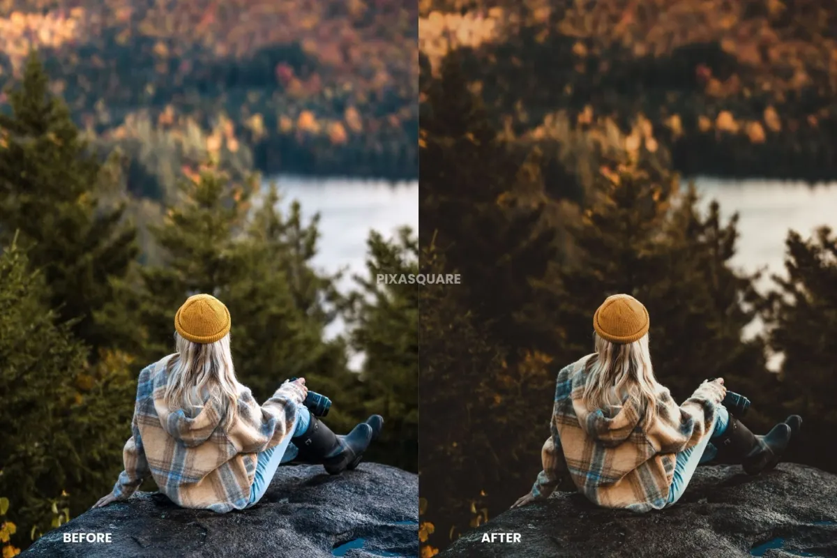 Moody Fall Lightroom Presets