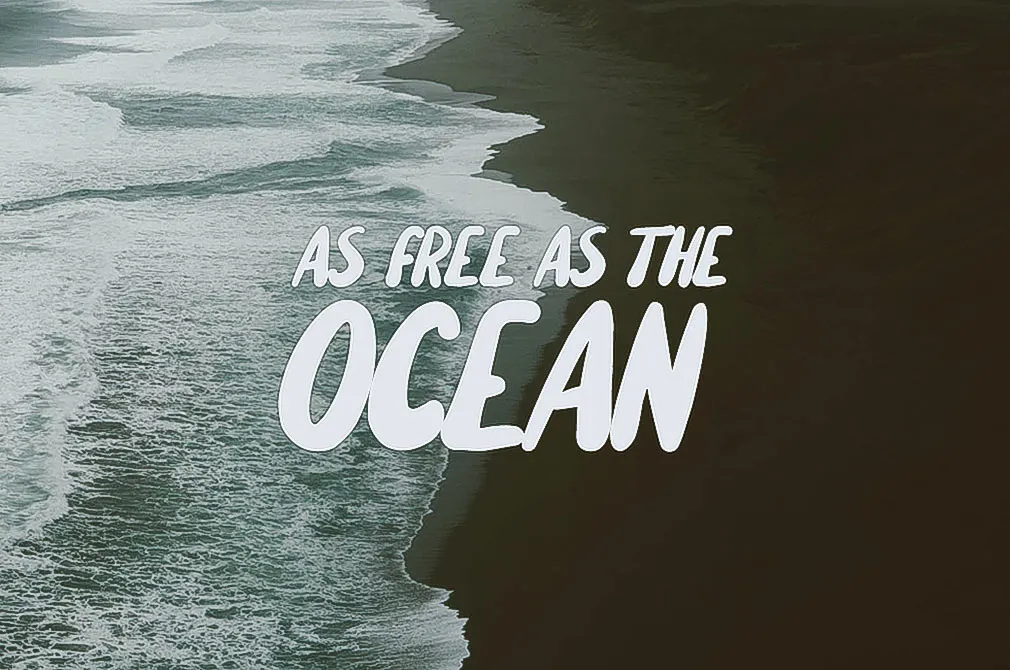Willful Handwritten Brush Font