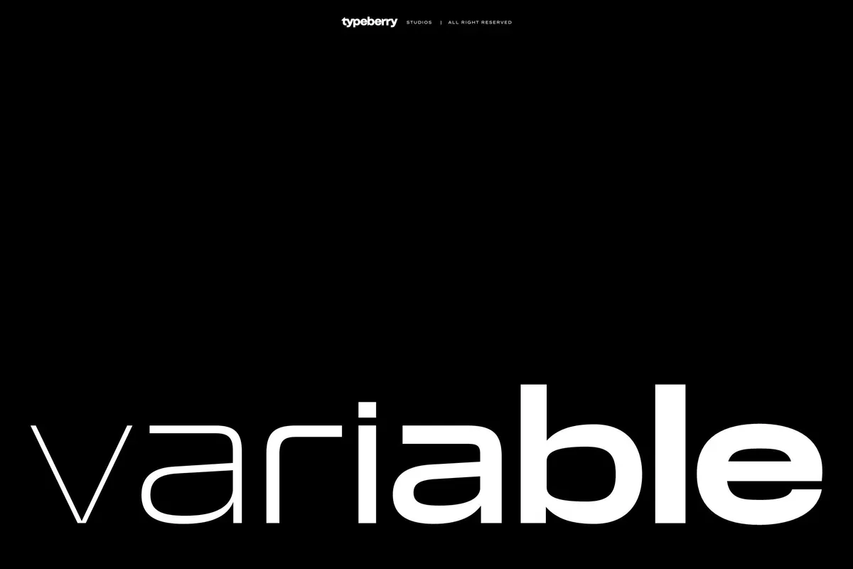 Roda - Wide Rounded Sans Serif Font Family