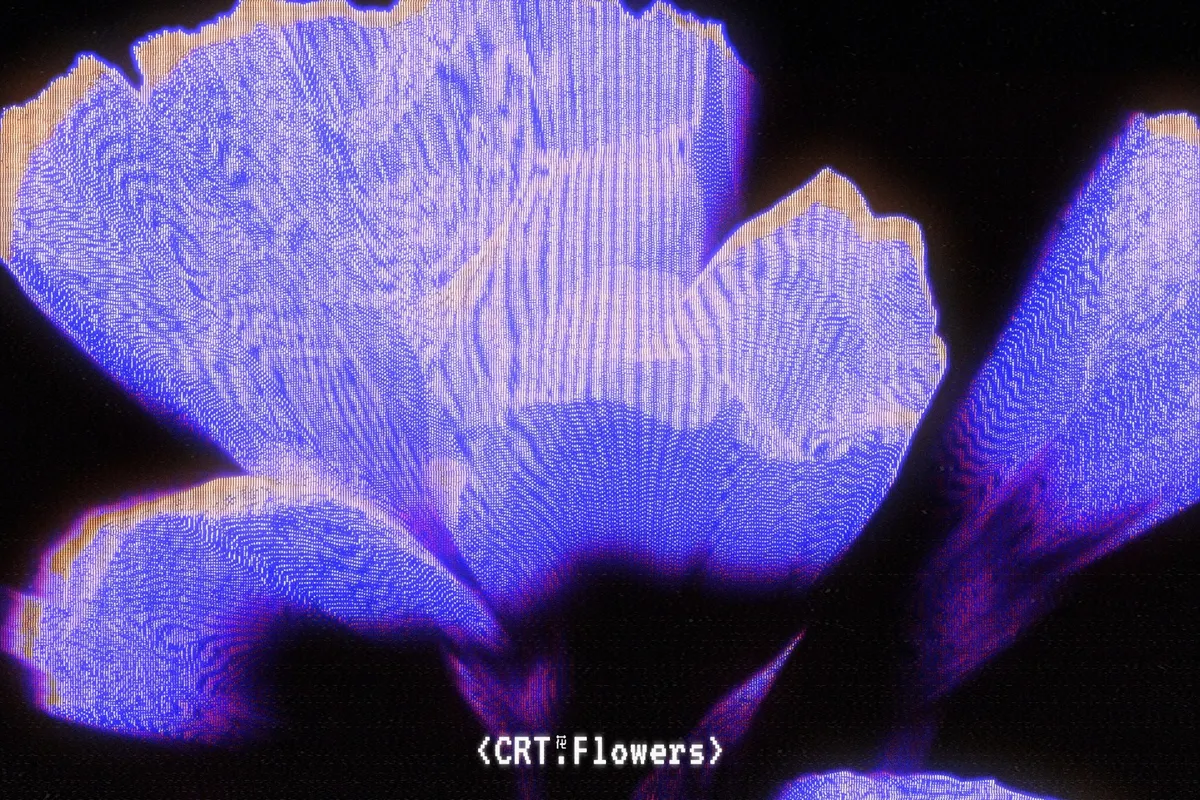 CRT Flowers Overlays