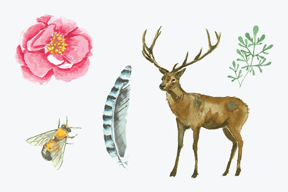 The Watercolor Pack Free
