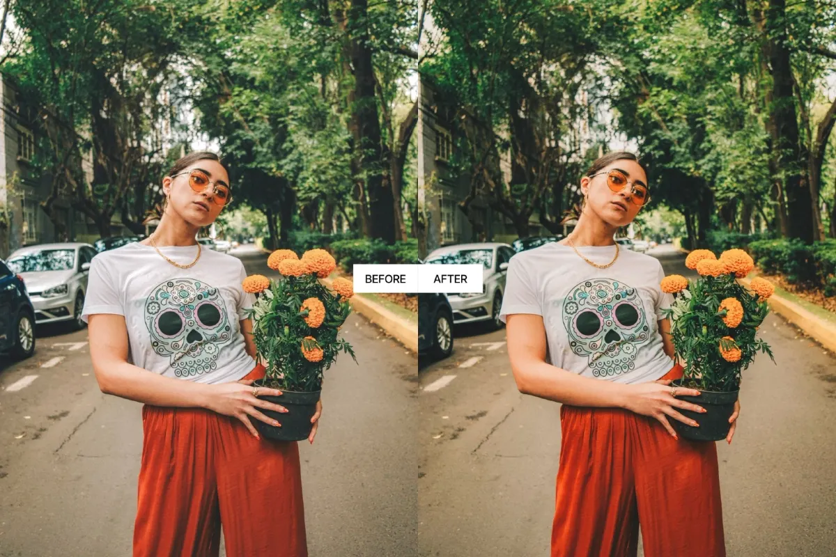 Warm Analog Film Lightroom Presets