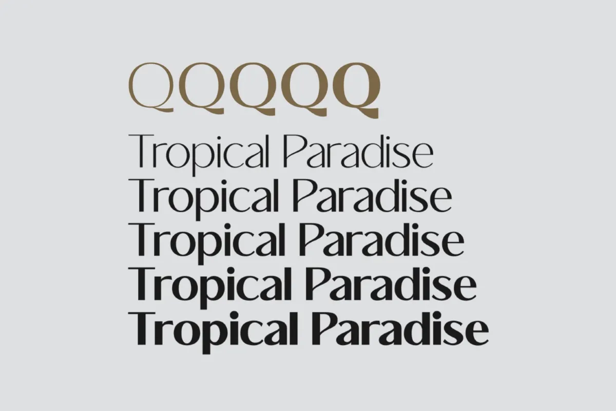 Chiqueta – Luxury Modern Sans Font
