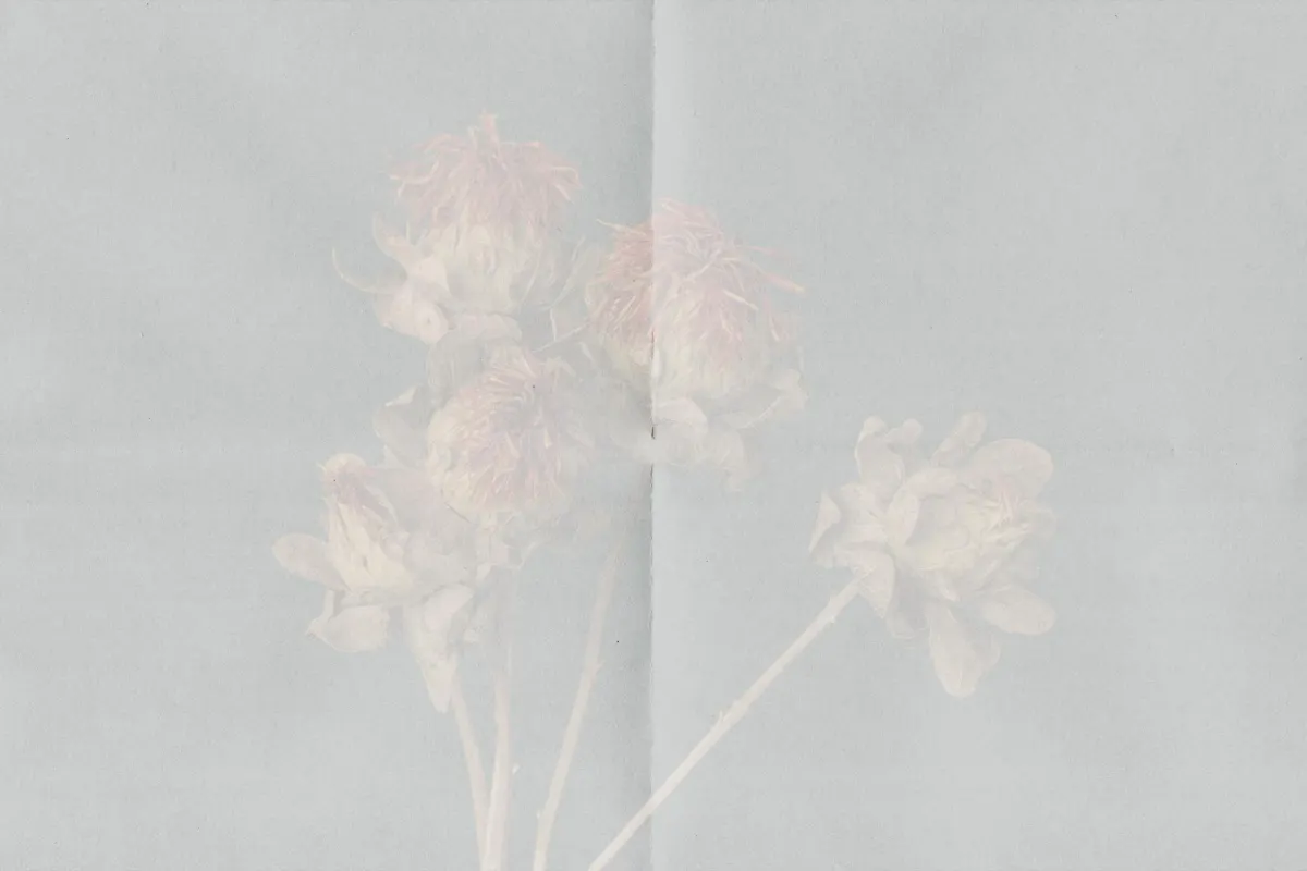 Folded Paper Textures Collection