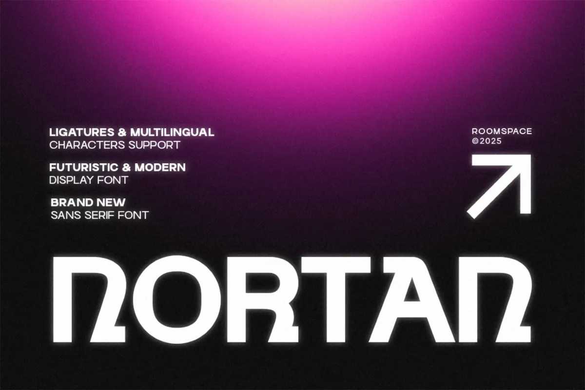 Nortan – Futuristic Display Sans Font