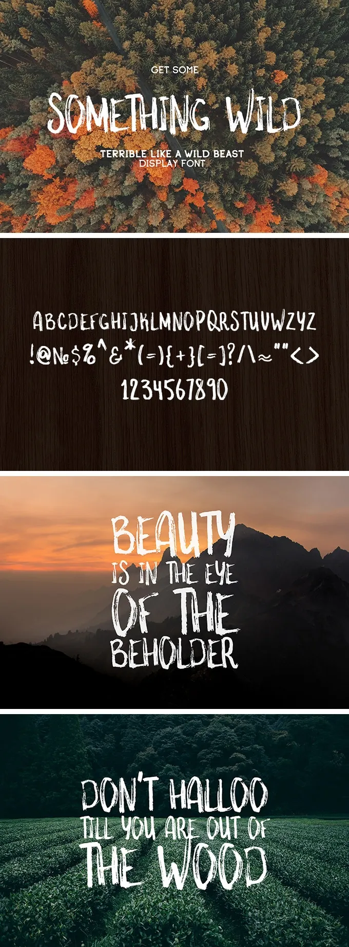 Something Wild Free Font