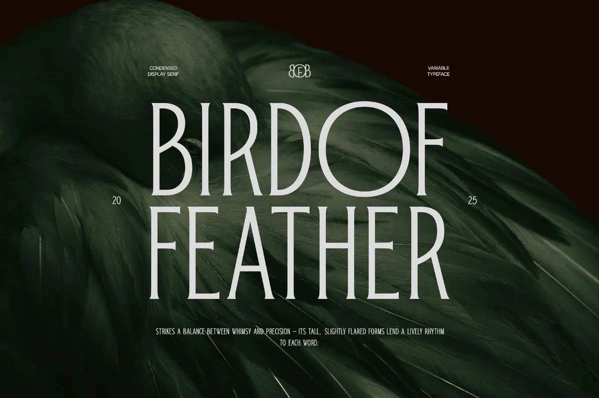 Bird of Feather - Condensed Display Serif Font