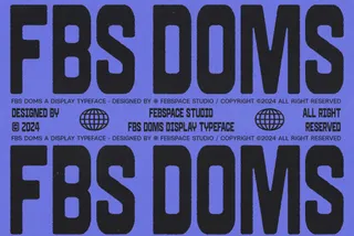FBS DOMS Versatile Display
