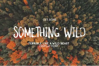 Something Wild Free Font