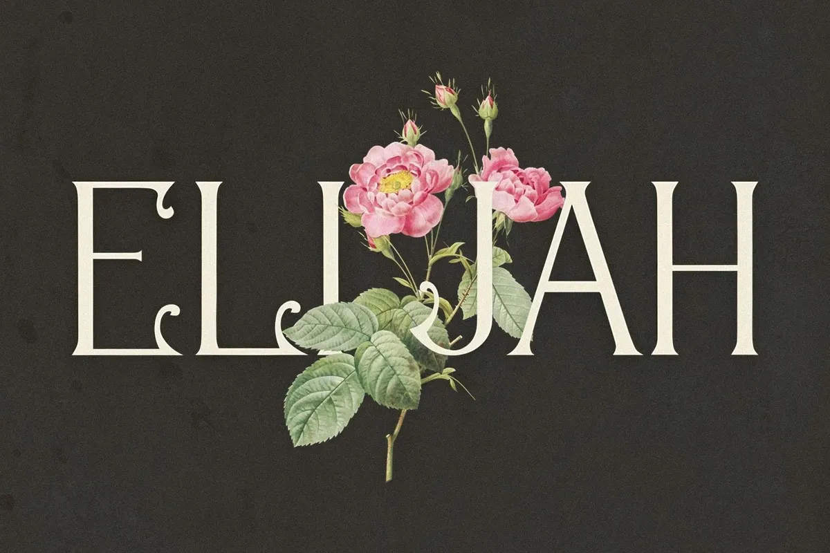 Ageless Heritage - 1900's Typeface