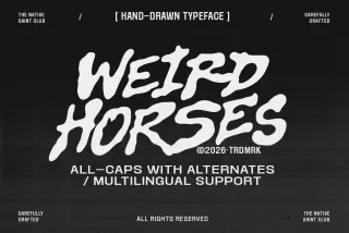 Weird Horses - Bold Hand Drawn Display Font