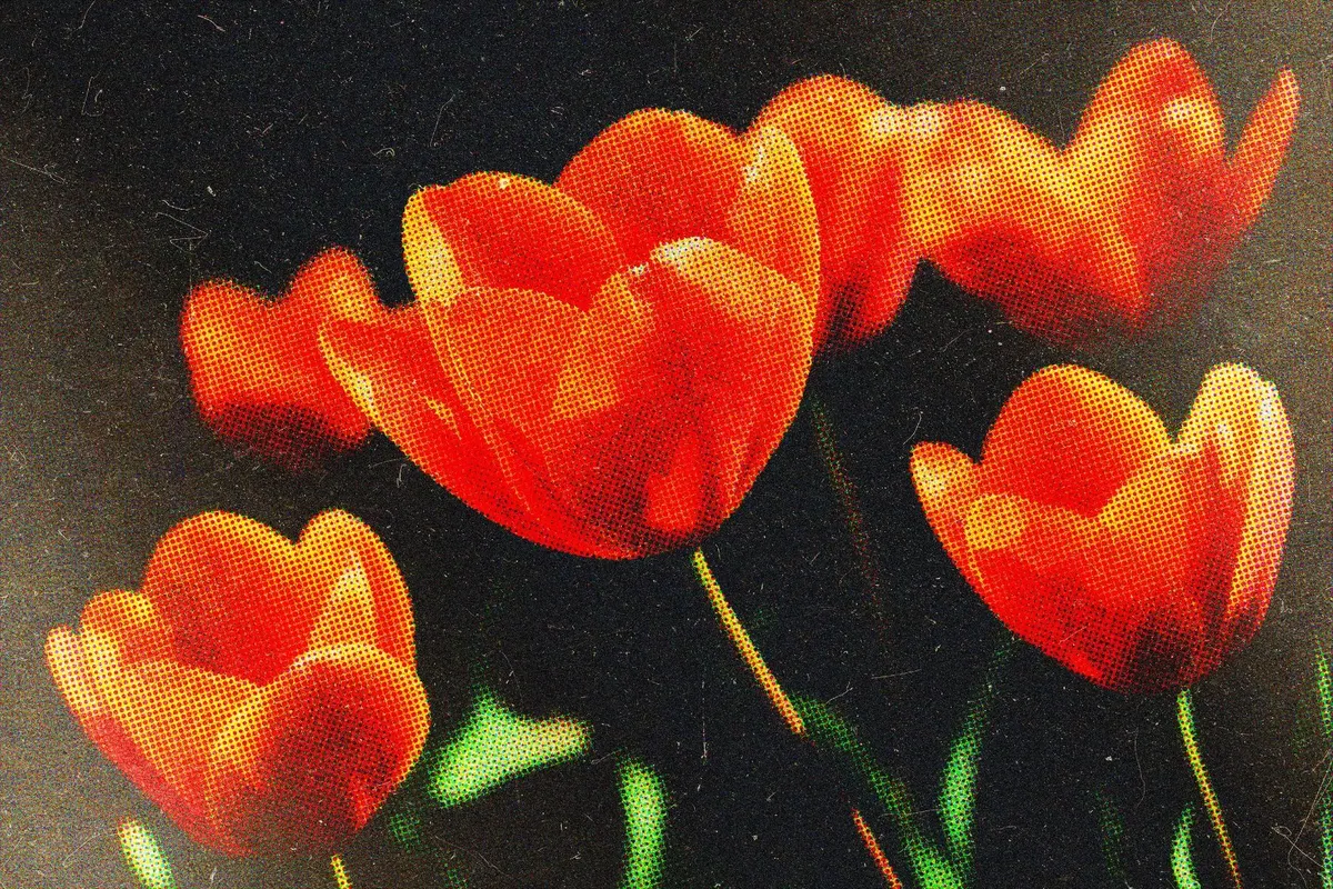 Vivid Dot Halftone Photo Effect