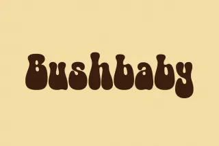 Bushbaby - 70s Groovy Font