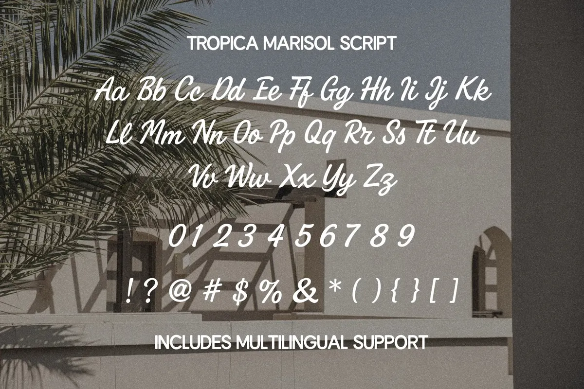 Tropica Marisol – Duo Typeface
