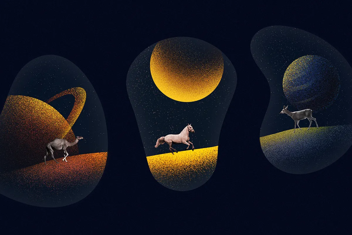Misterio Shader Affinity Designer Brushes
