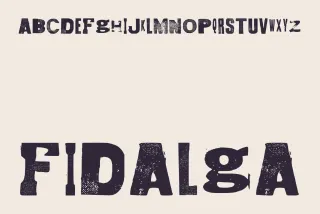 Fidalga Retro Grunge Font
