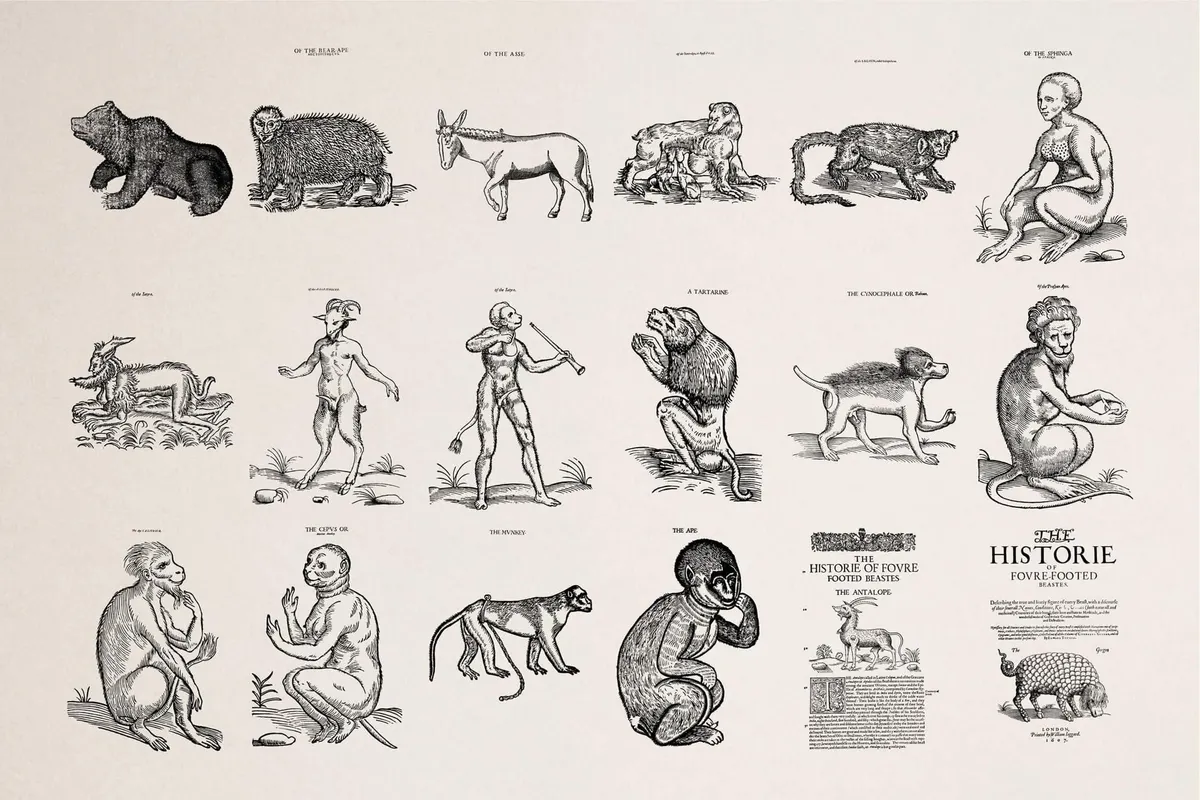 Four Footed Beasts and Animals