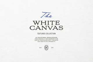The White Canvas Textures