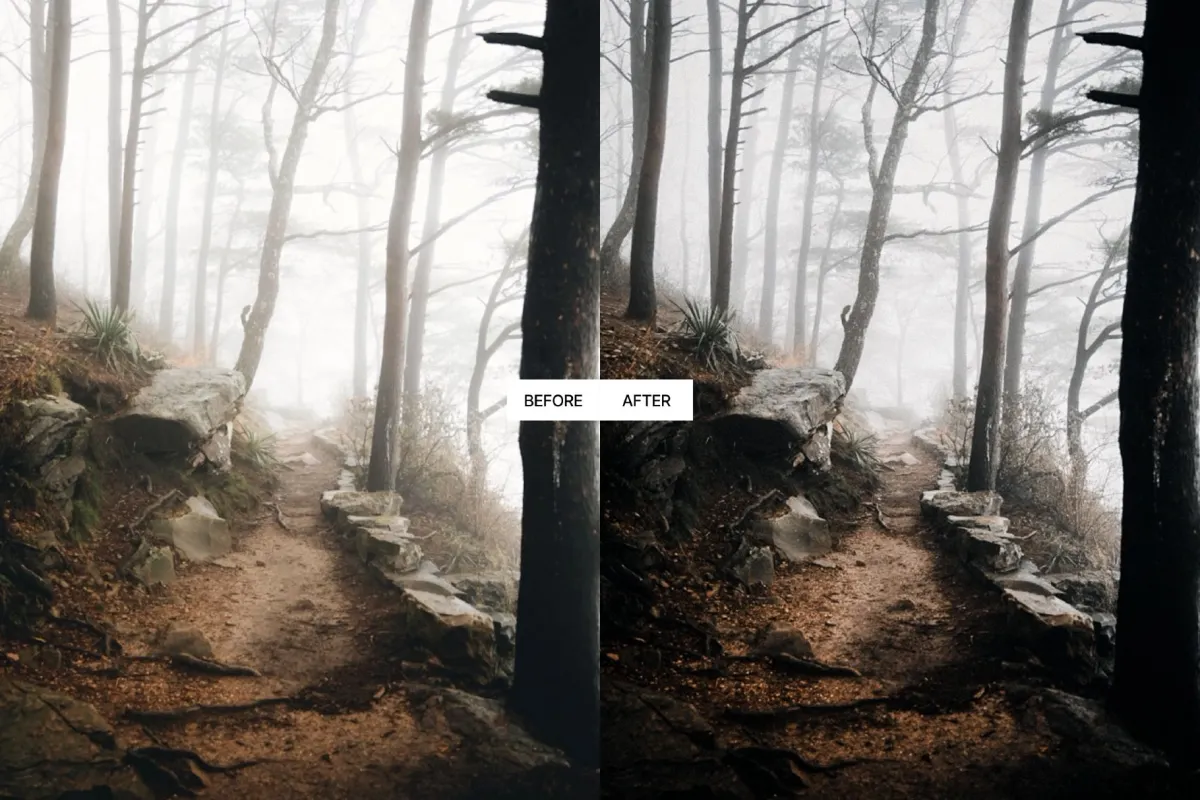 Cinematic Stormy Landscape Lightroom Presets
