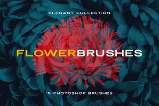Elegant Flower Photoshop Brushes