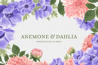 Anemone & Dahlia Flowers Clipart