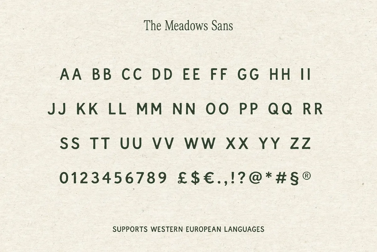 The Meadows — Font Trio & Extra