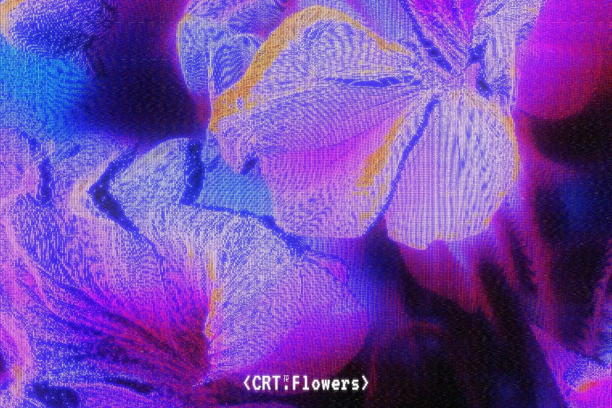 CRT Flowers Overlays