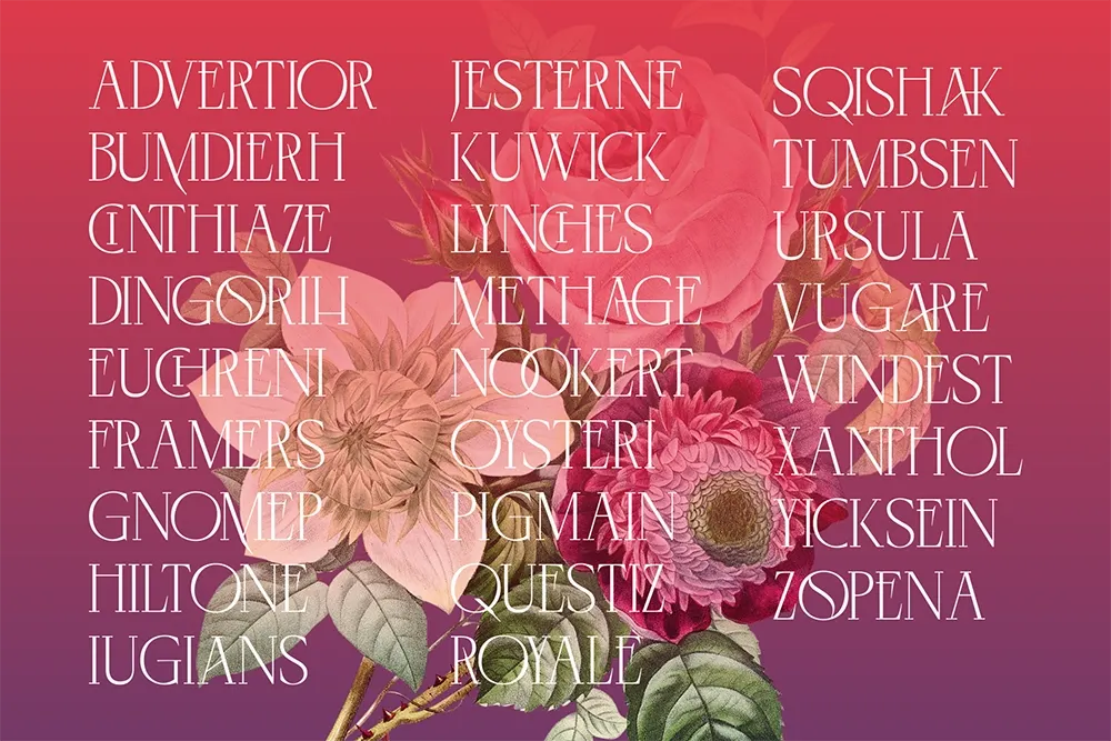 Negkomis - Luxury Fashion Serif Font