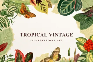 Tropical Vintage Graphic Set