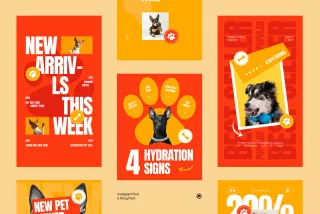 Pet Care Instagram Post & Stories - Adobe Template