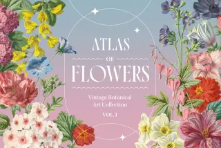 Atlas of Flowers — Botanical Art Set