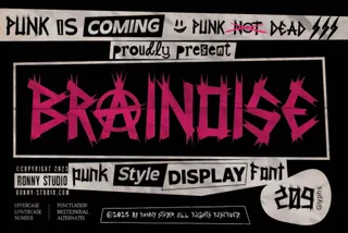 Brainoise — Punk Display Font