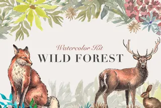 Wild Forest Watercolor Kit
