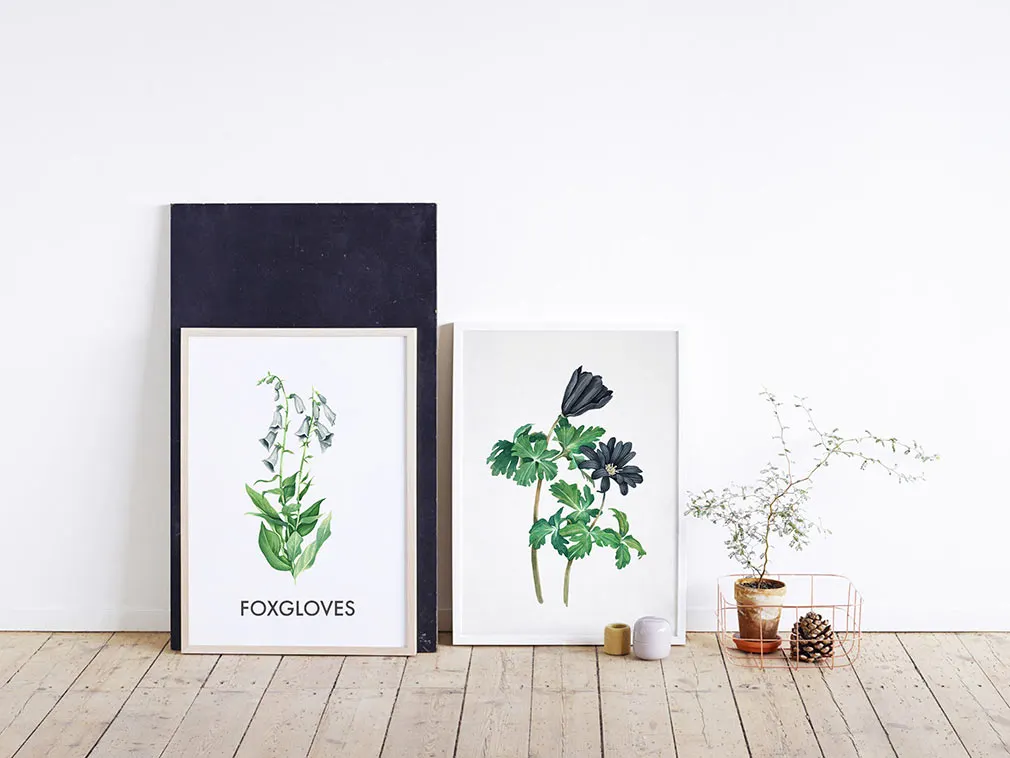 Botanical Garden Watercolor Set