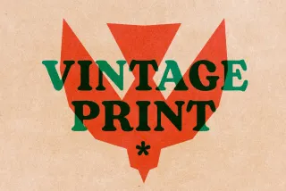 Vintage Overprint Effect