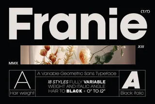 Franie - Geometric Sans Font Family
