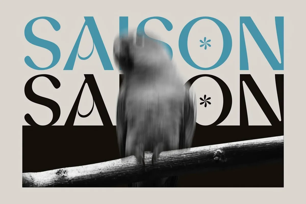 Md Bloam — Elegant Sans Serif