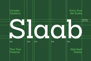 Slaab - Variable Slab Serif Font Family