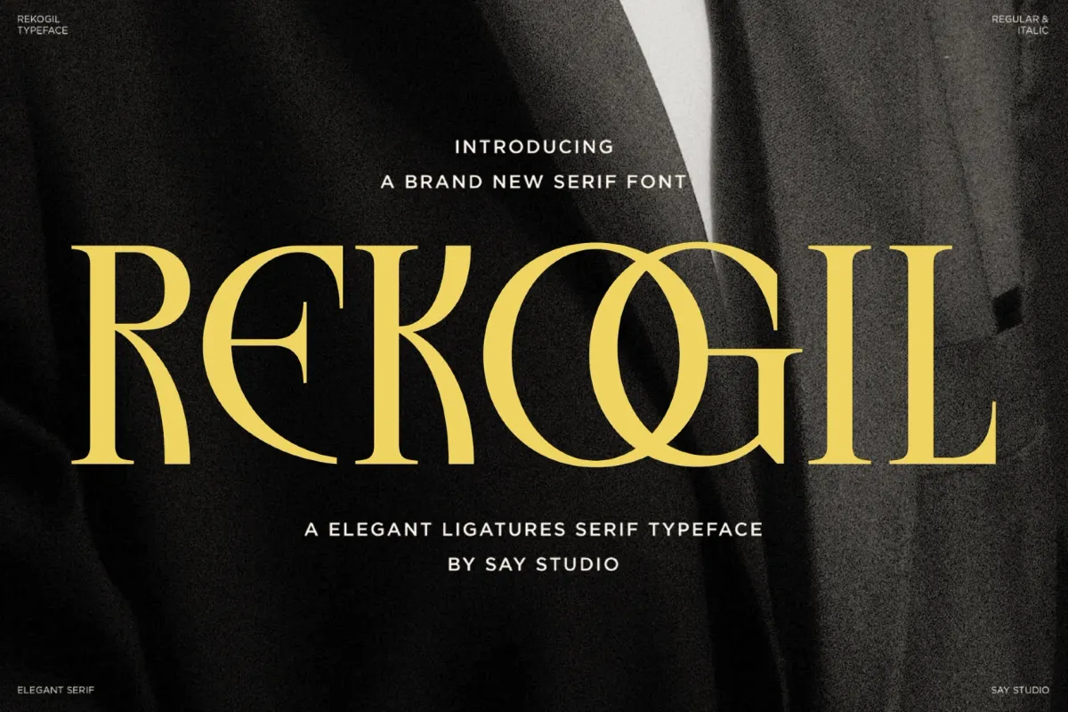 Rekogil - Luxury Ligature Serif Font