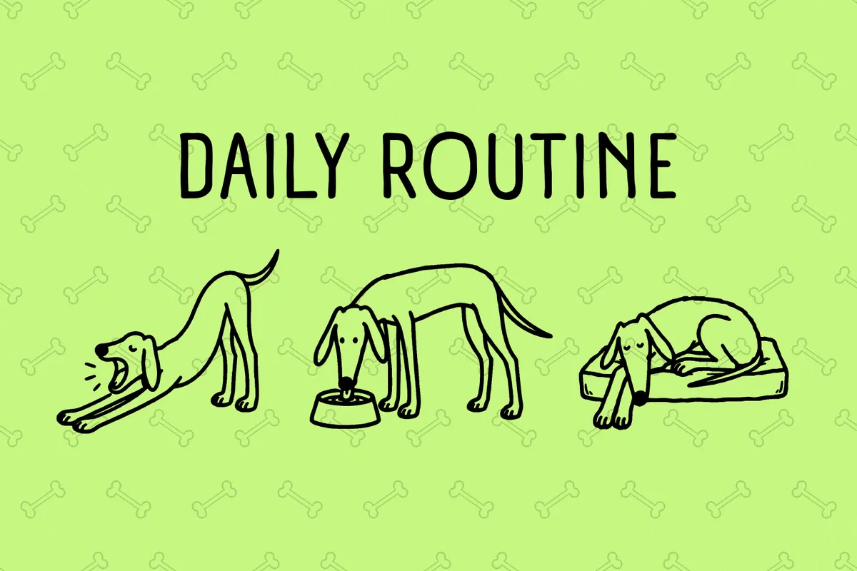 Lanky Days Pack: Dog Illustrations