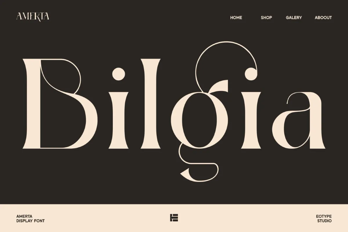 Amerta - High Contrast Serif Font