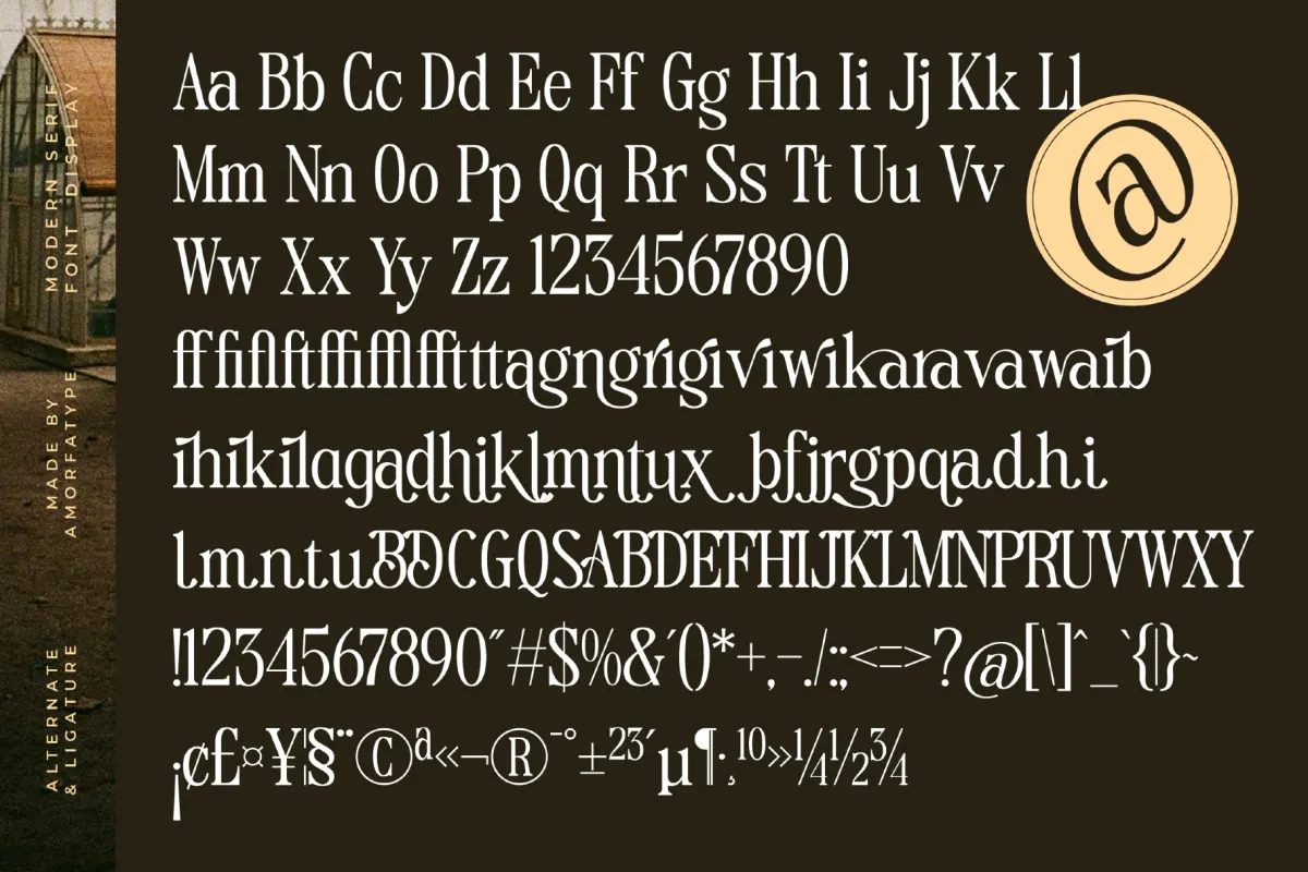 Magice Berries - Elegant Editorial Serif Font