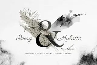 Ivory & Mulatto Graphic Set
