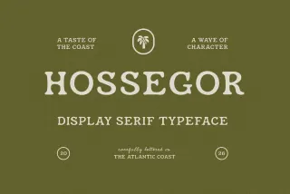Hossegor - Retro Surf Serif Display