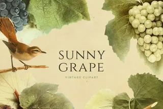 Sunny Grape Vintage Clipart