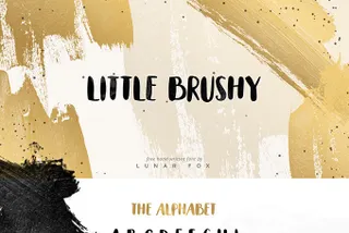 Little Brushy Font