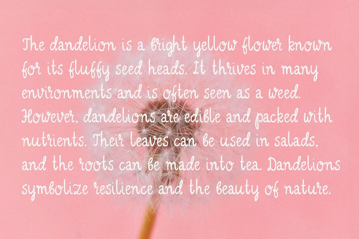 Lemon Frost | Playful Font Trio