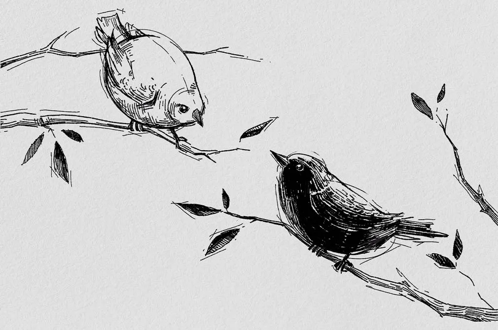 Sketch Procreate Brushes